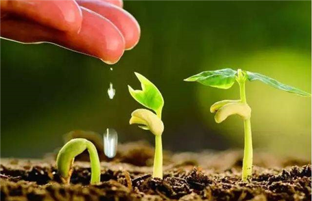 環(huán)境空氣、地下水、土壤檢測(cè)報(bào)告